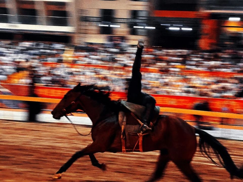 spaci, 邀请赛, decor